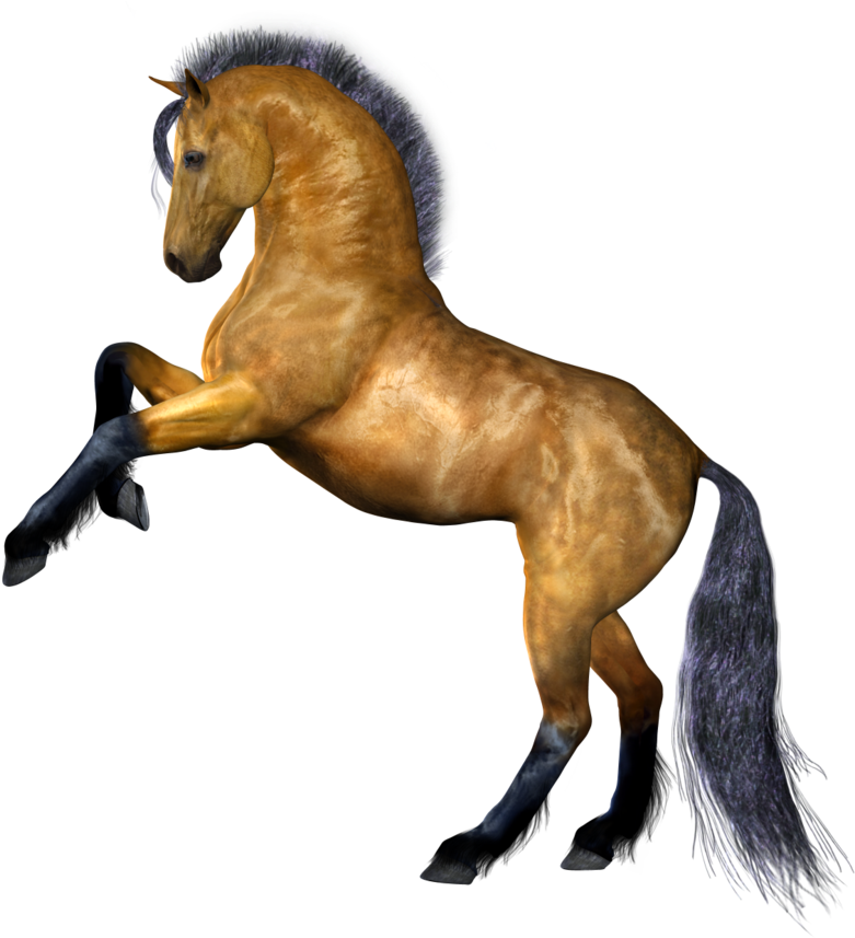 Horse Png Image - Horse Transparent Background (900x863), Png Download