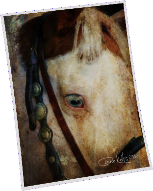 Blue Eyed Paint Horse Watercolor - Pencil Skirt (493x493), Png Download