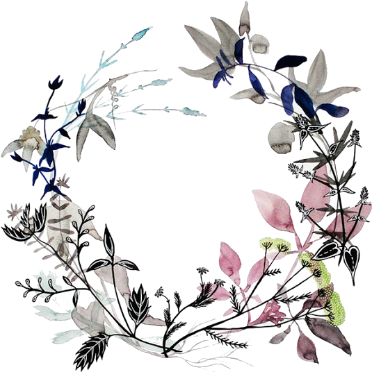Transparan Png Fotoshop Pinterest Watercolor Tattoo - Wild Floral Wreath Illustrations (640x640), Png Download
