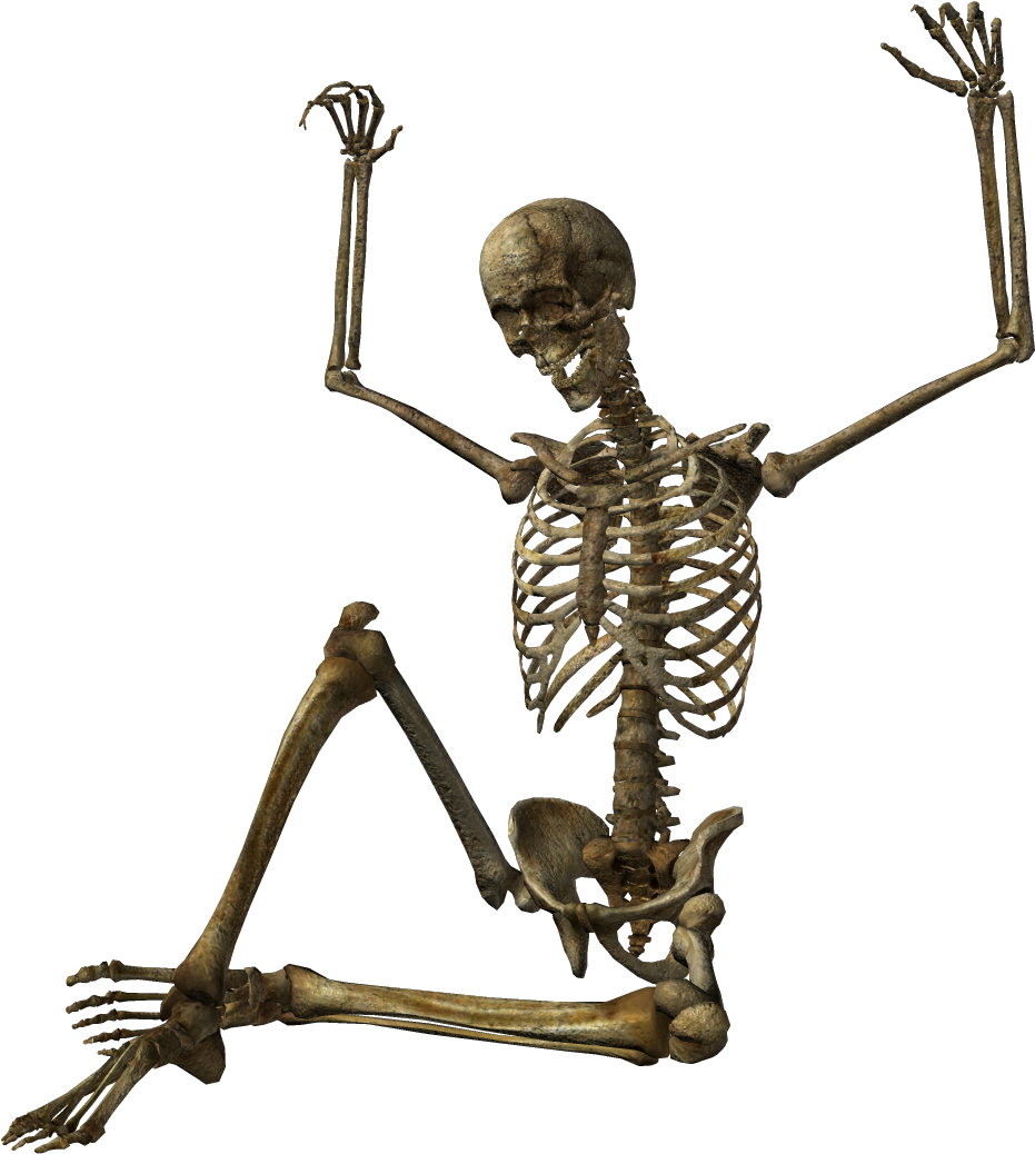 Skeleton Png Image - Скелеты Png (1090x1090), Png Download