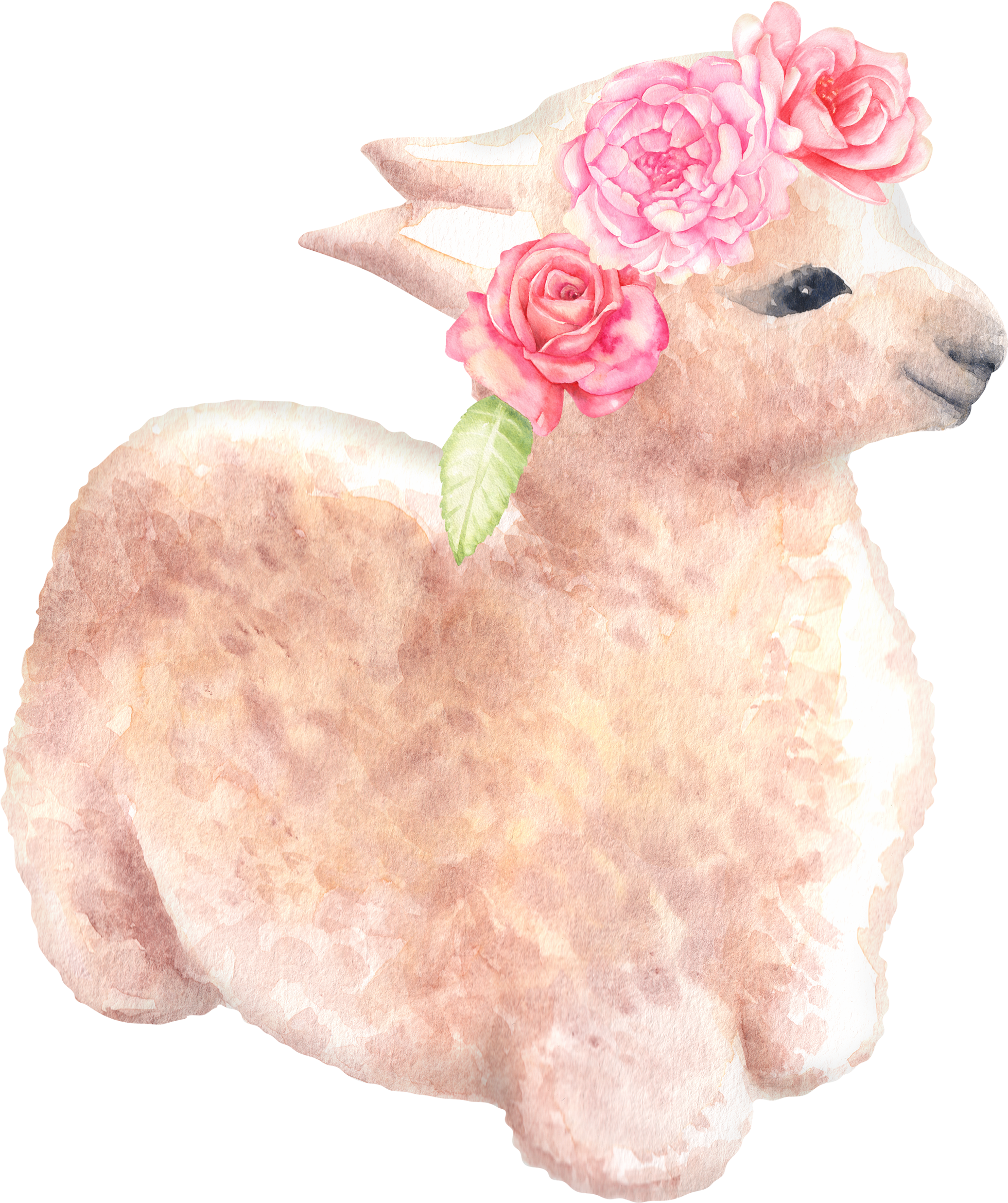 Picture Llama Graphics Baby Alpaca Original Handmade - Watercolor Painting (2400x2400), Png Download