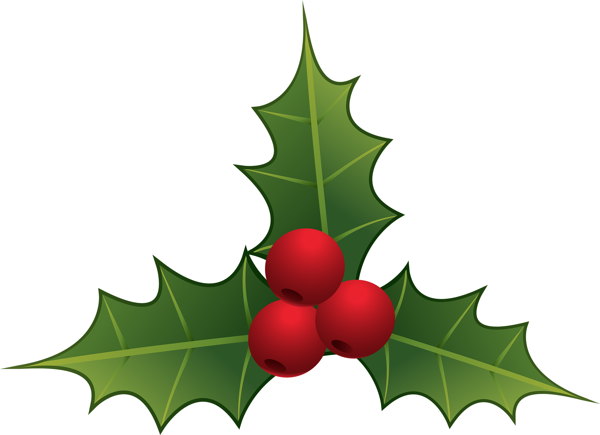 Mistletoe Png Clipart - Mistletoe Clipart (2500x1839), Png Download