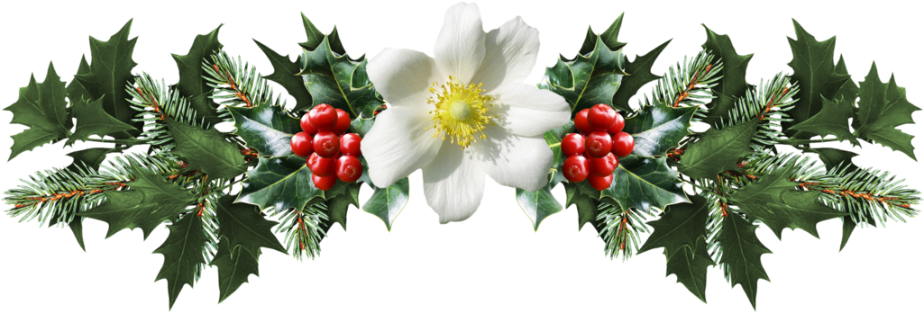 By Sinphie On Deviantart Clip Free Download - Hollyleaf Cherry (1024x369), Png Download