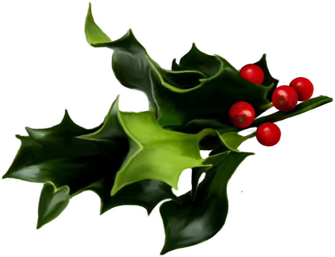 Mistletoe Png (1121x854), Png Download