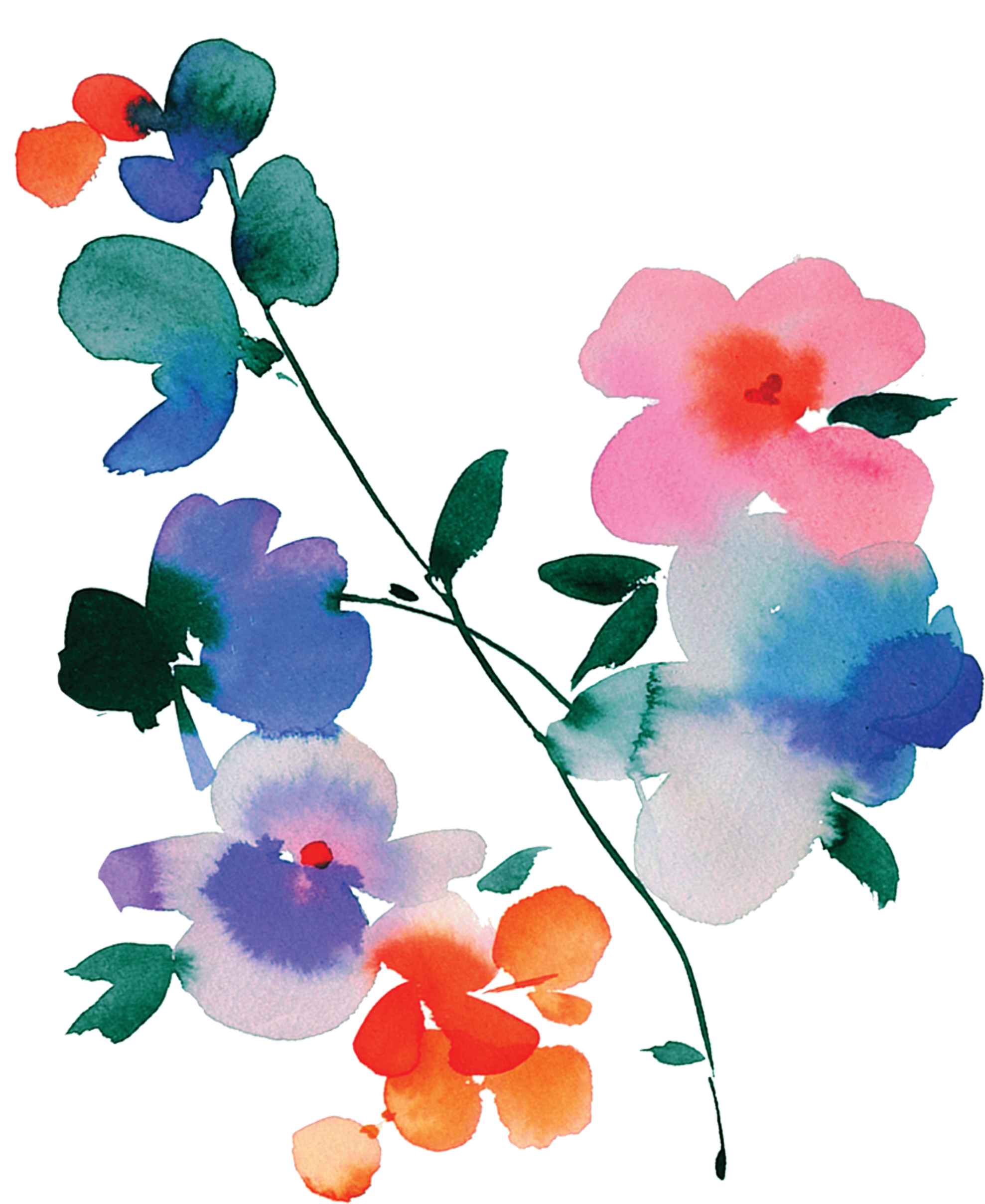 Blue Orchid - Helen Dealtry (690x690), Png Download