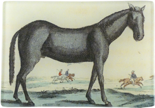 Horse (600x600), Png Download