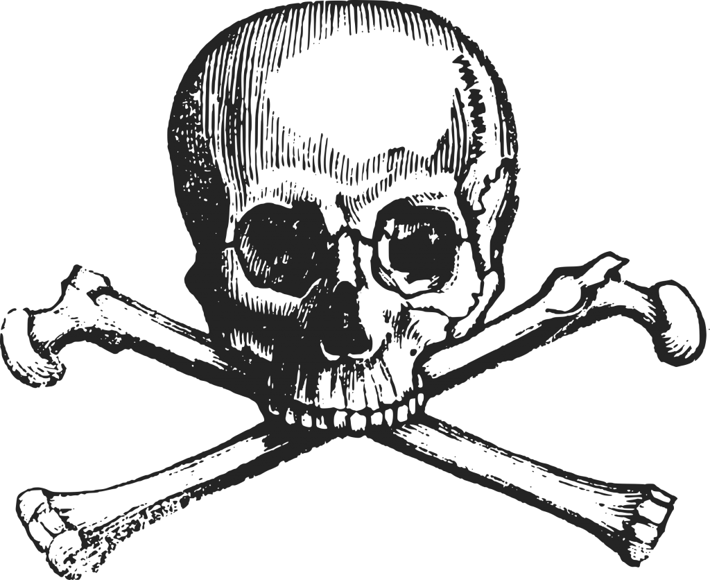 Skull Bones Transparent Background Png - Skull And Crossbones (1024x836), Png Download