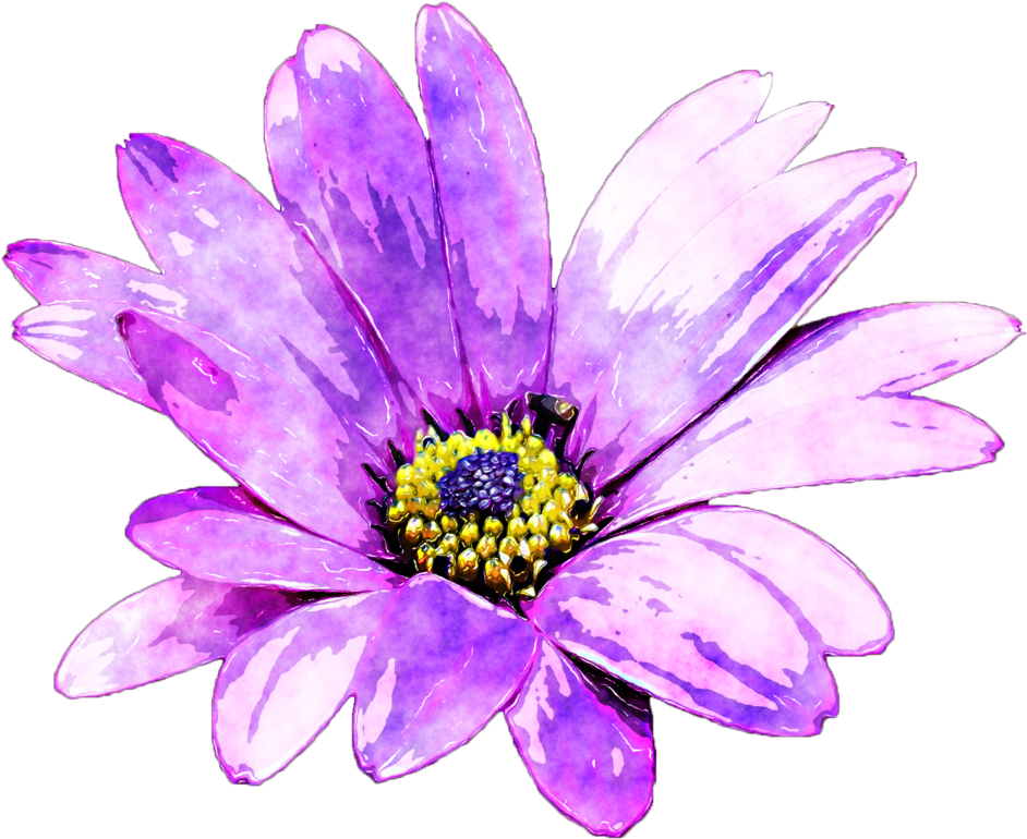 Watercolour Flower Png Image Free Stock - Watercolor Purple Daisy (988x809), Png Download