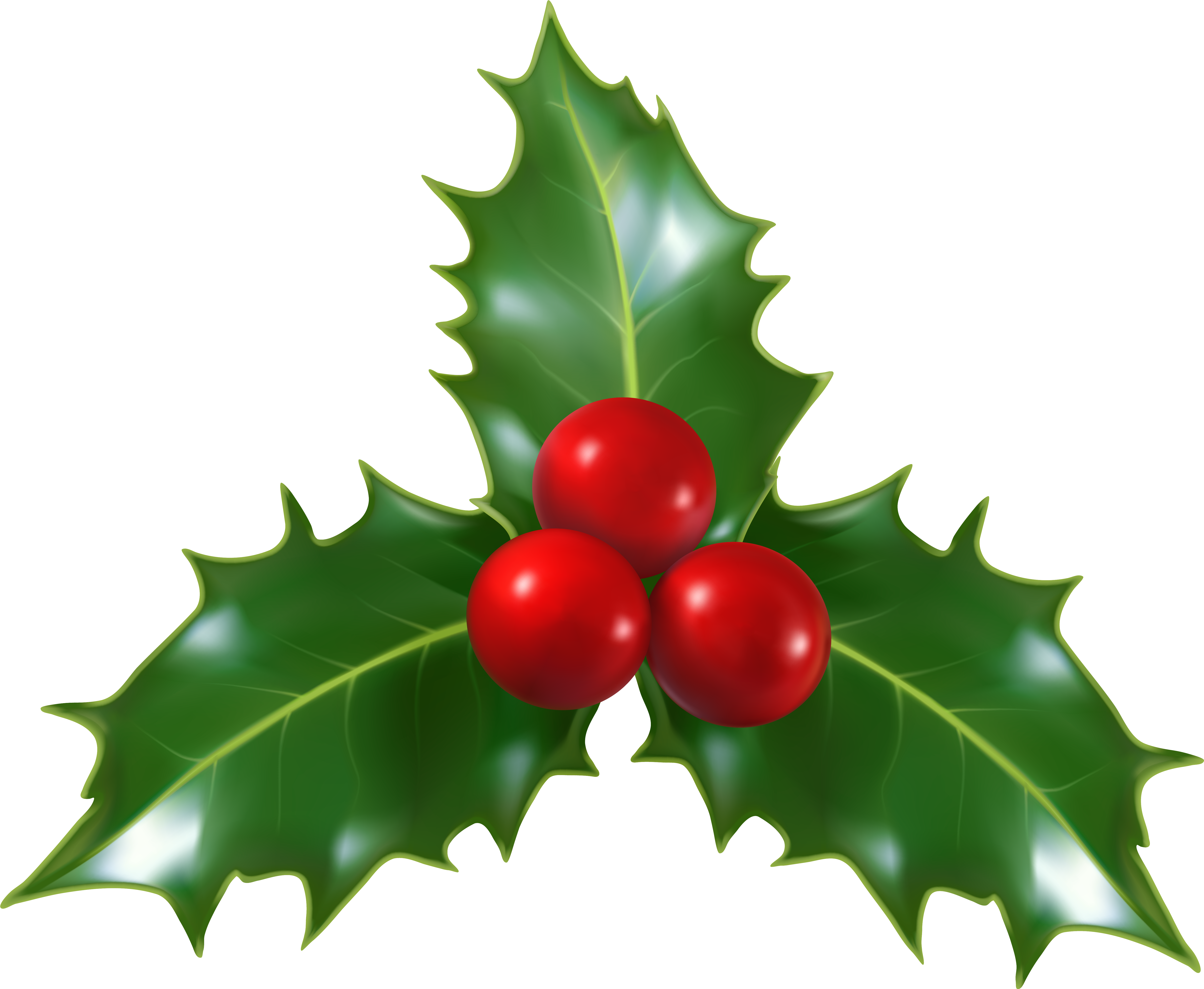 Mistletoe Png (6313x5231), Png Download
