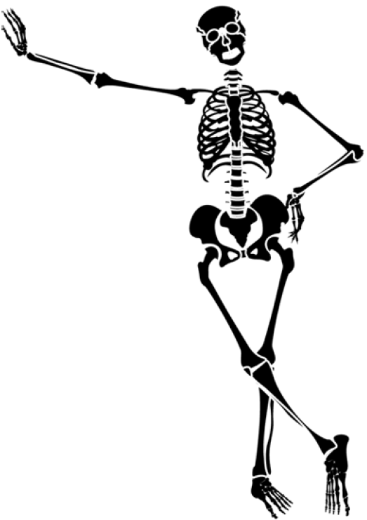 28 Collection Of Halloween Dancing Skeleton Clipart - Skeleton Art Transparent Background (640x808), Png Download