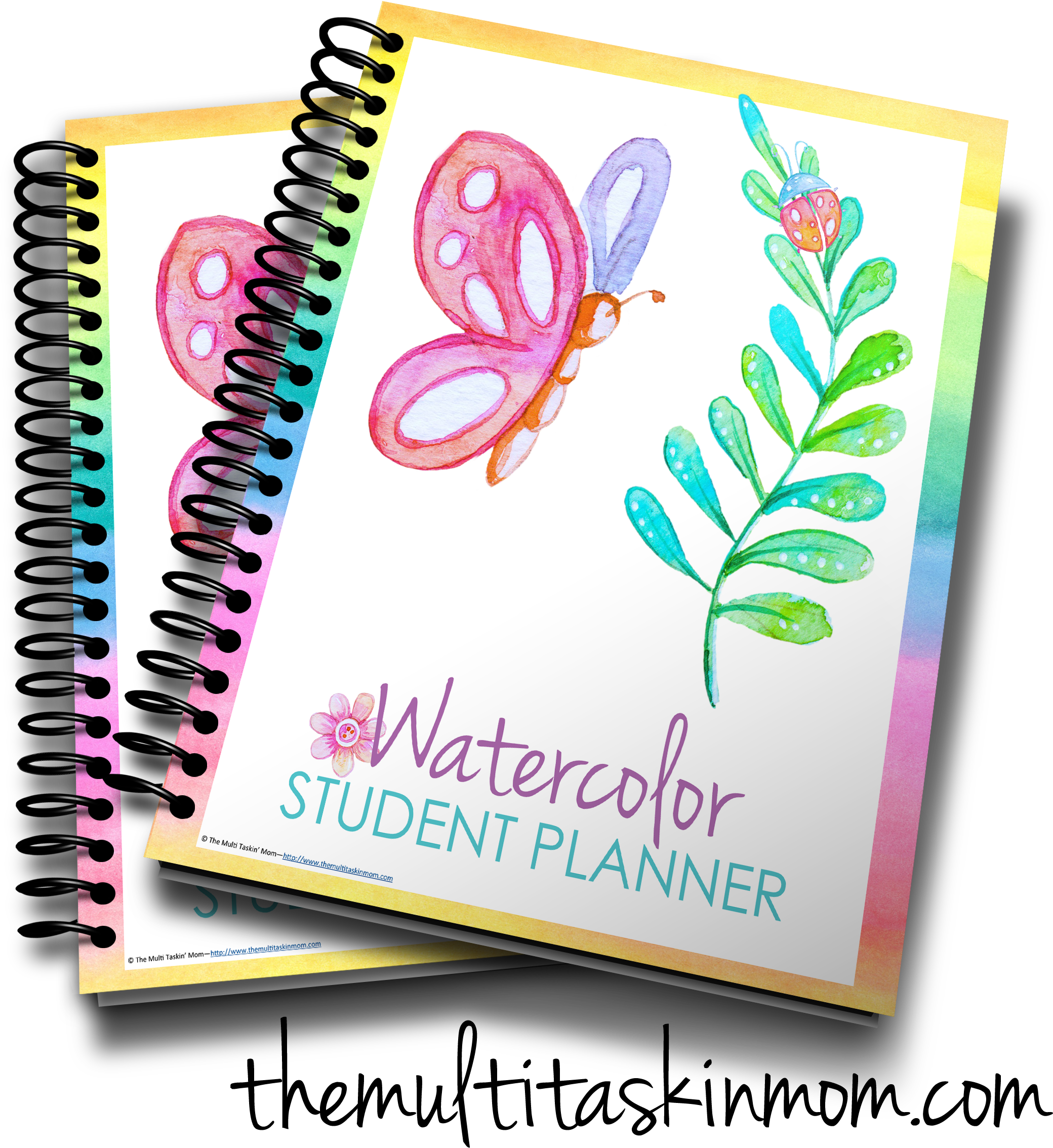 Watercolor Student Planner - Wiley Cia Focus Notes 2014 (2165x2363), Png Download