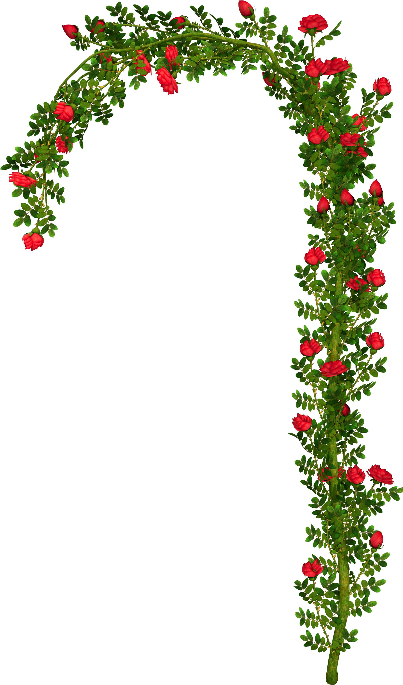 Rosebush Element Png Picture - Rose Arch Png (1841x3033), Png Download