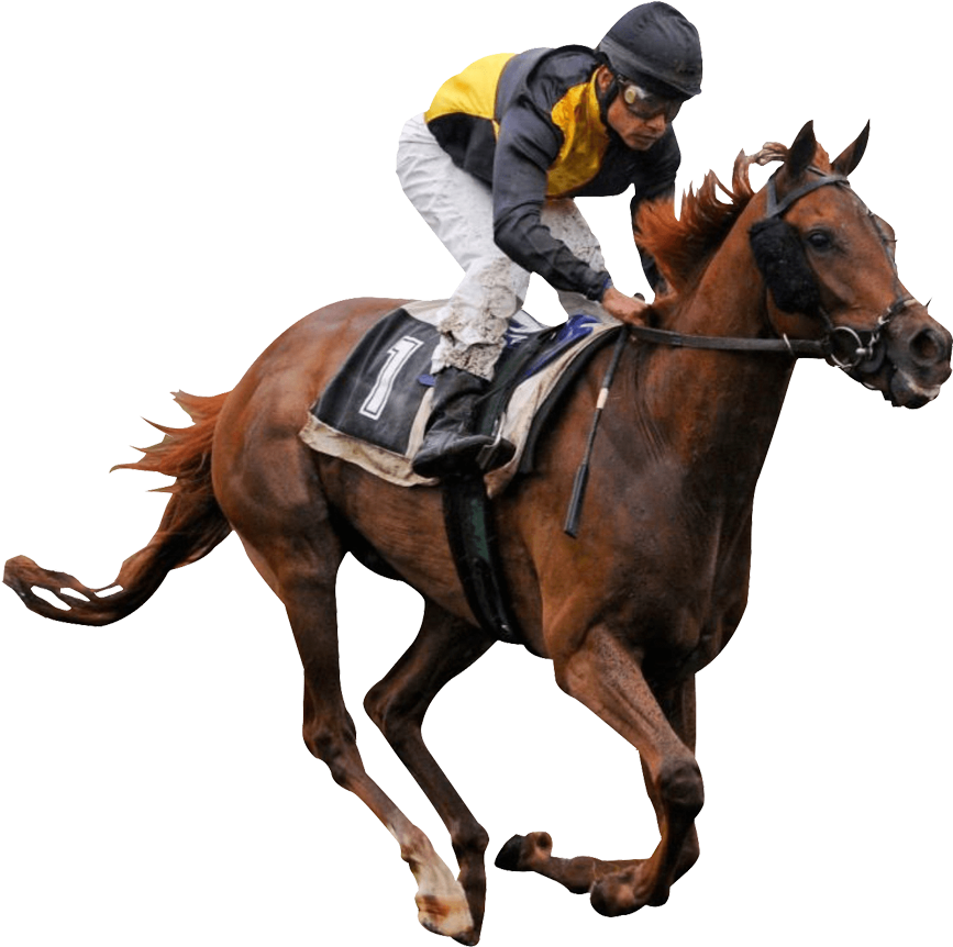 Horse Racing Png (1357x1340), Png Download