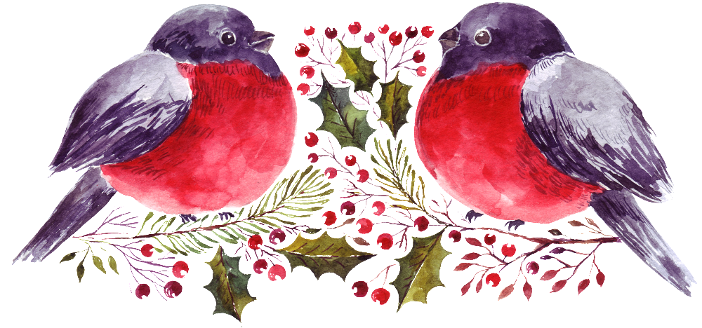 Transparent Ornamental Material For Cartoon Watercolor - Portable Network Graphics (1024x484), Png Download