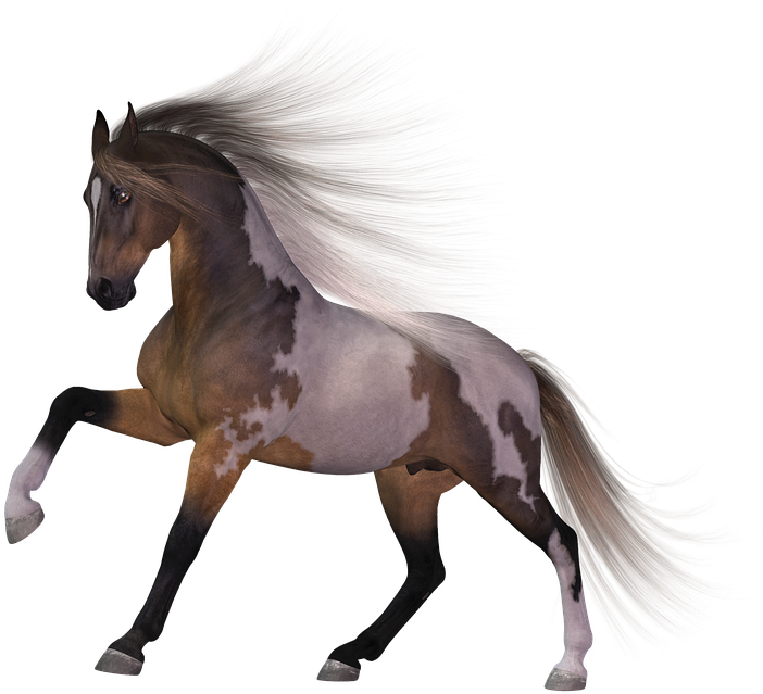 Download Horse Png Transparent Images Transparent Backgrounds - Horse (960x720), Png Download