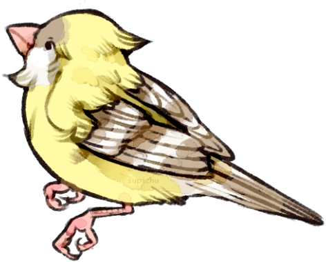 Blue Jay (500x383), Png Download