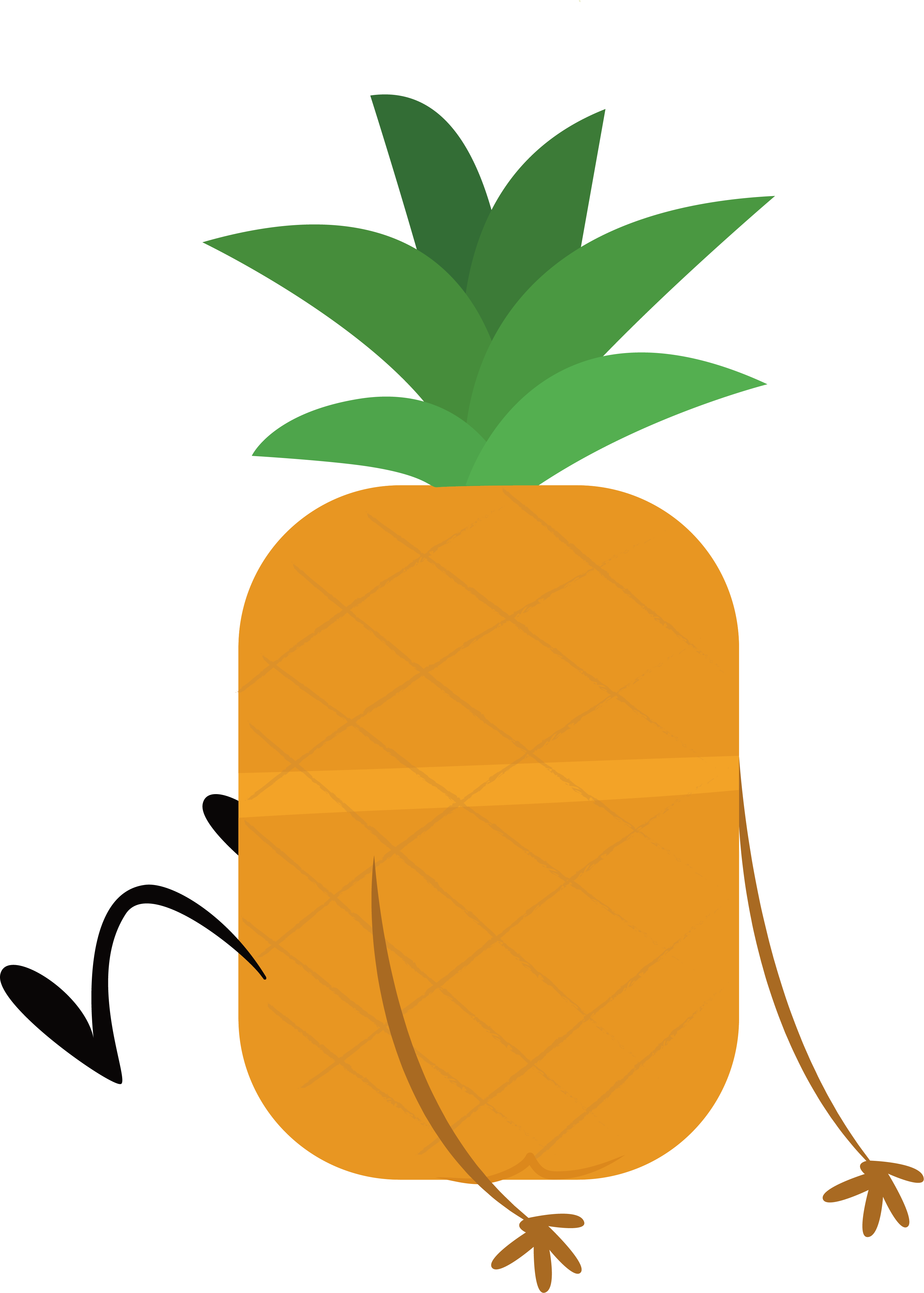 Pineapple Drawing - Dibujo De Pi A Png (3048x4266), Png Download