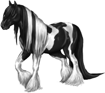 28 Collection Of Gypsy Vanner Horse Drawing - Gypsy Horse (410x363), Png Download