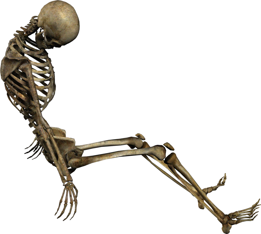 Skeleton - Drawing (900x809), Png Download