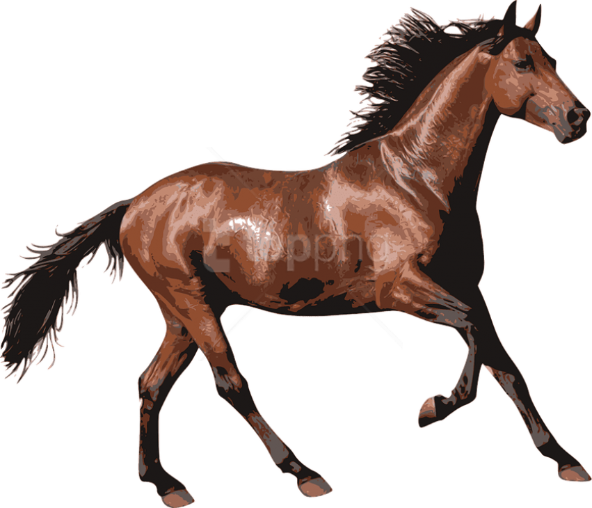 Brown Race Horse - Horse Transparent (839x720), Png Download