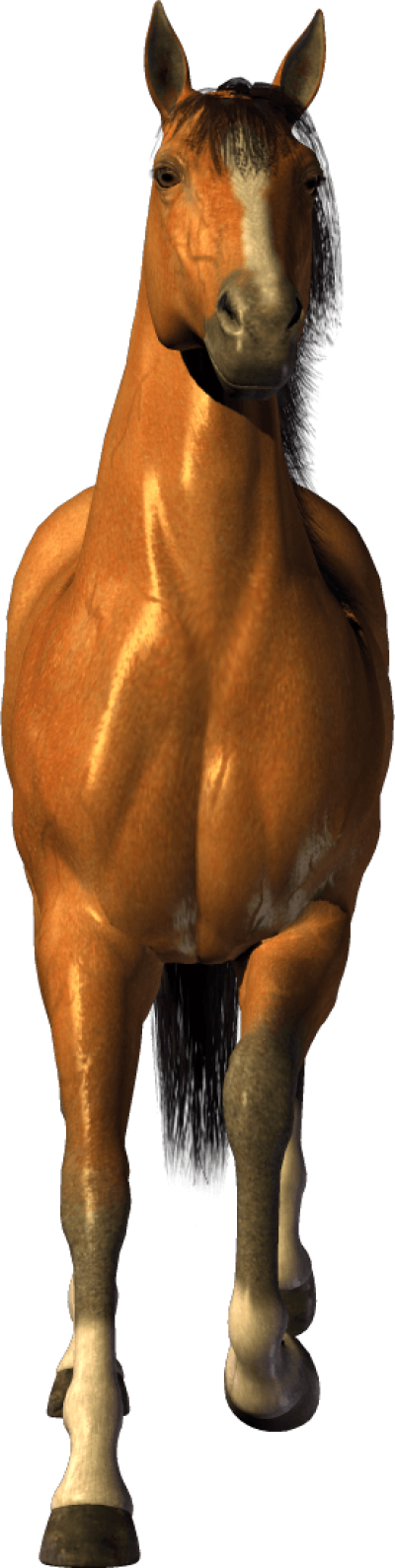 Best Free Horse Png Picture - Transparent Background Horse Png (275x1093), Png Download
