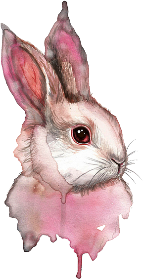 Montanarosepainter - Rabbit Drawing (404x640), Png Download