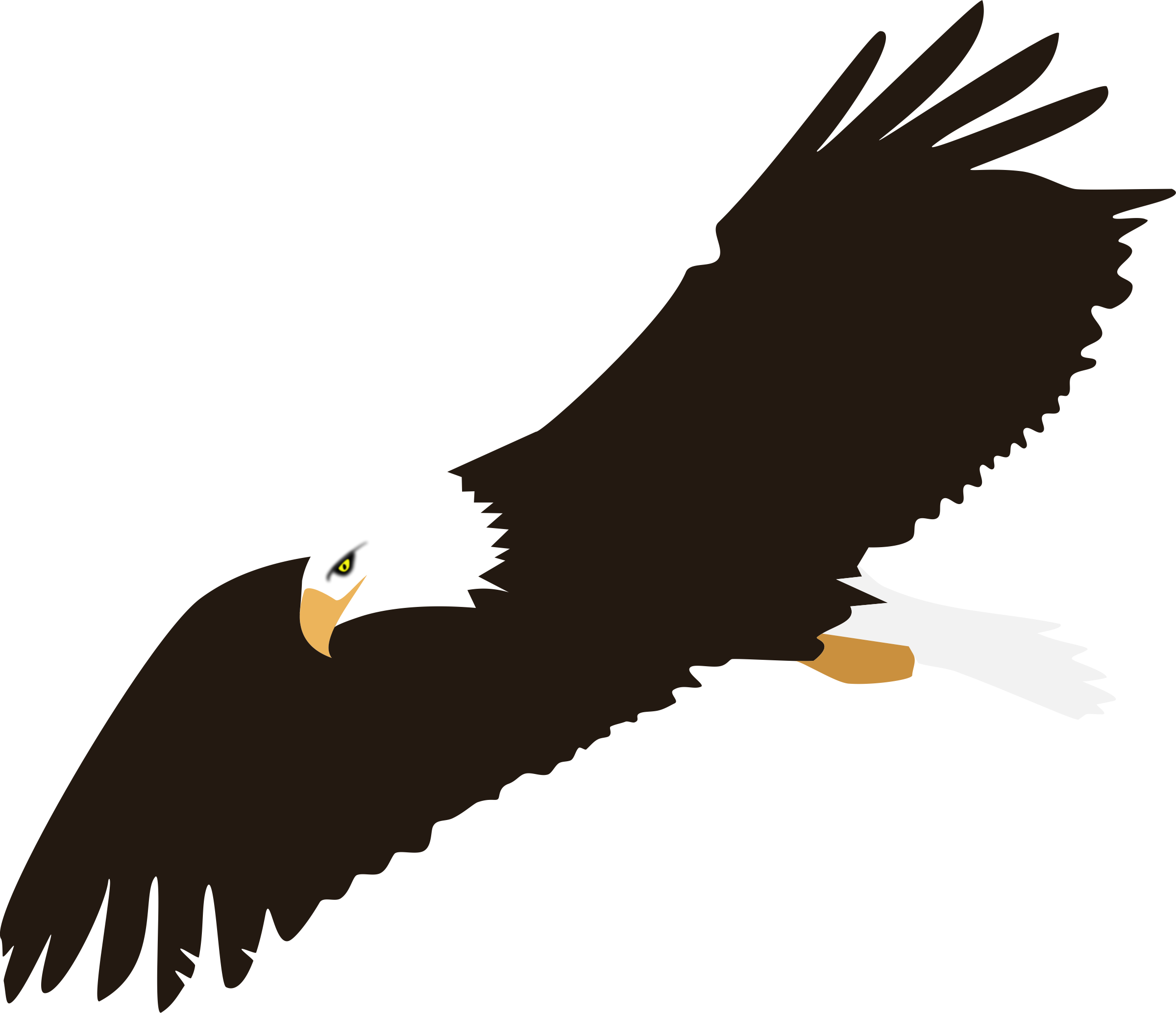 Soaring Eagle Png Image - Transparent Background Eagle Clipart (1024x861), Png Download