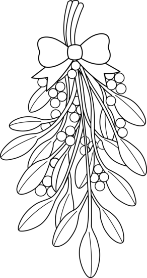 Christmas Mistletoe Line Art - Mistletoe Drawing (292x550), Png Download