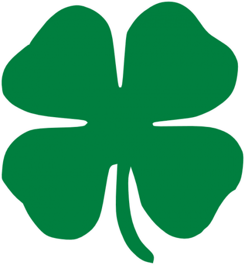 Free Png Clover Png Images Transparent - Shamrock Clip Art Free (480x520), Png Download