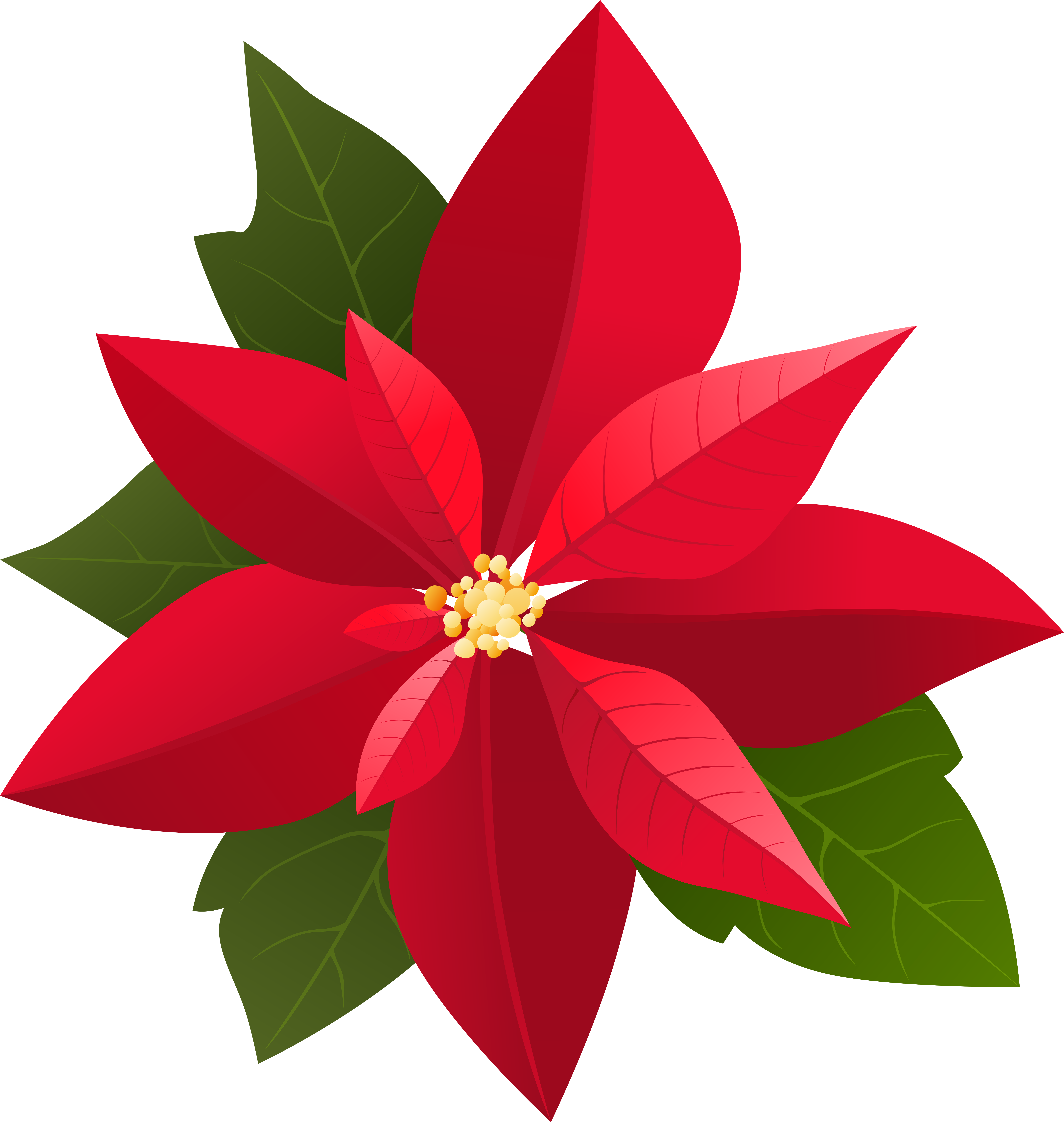 Christmas Poinsettia Png Clip Art (7586x8000), Png Download