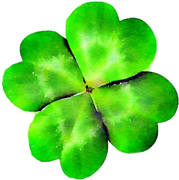 Four Leaf Clover, Clover, Green, St Patty's Day Png - Rotational Symmetry In Flowers (640x640), Png Download