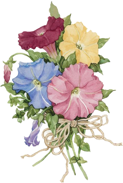 Flower Watercolor - Flower (430x640), Png Download