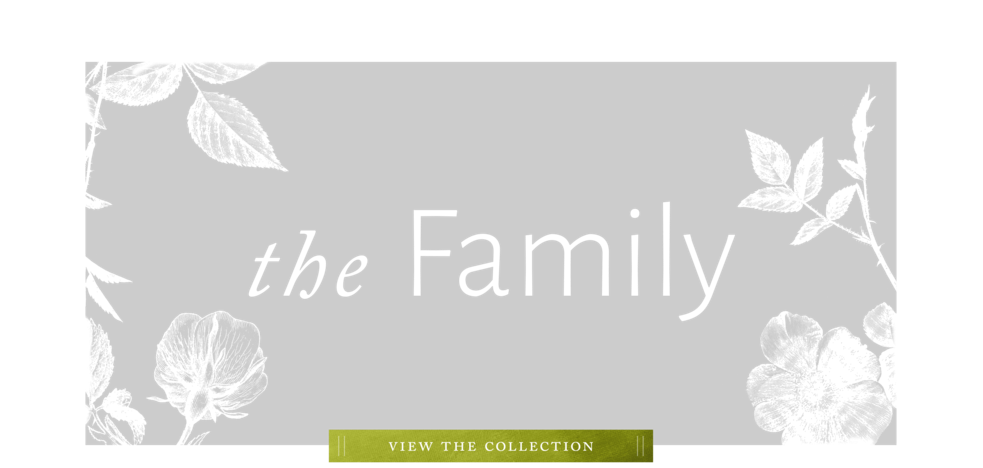 Family - Rose (1000x600), Png Download