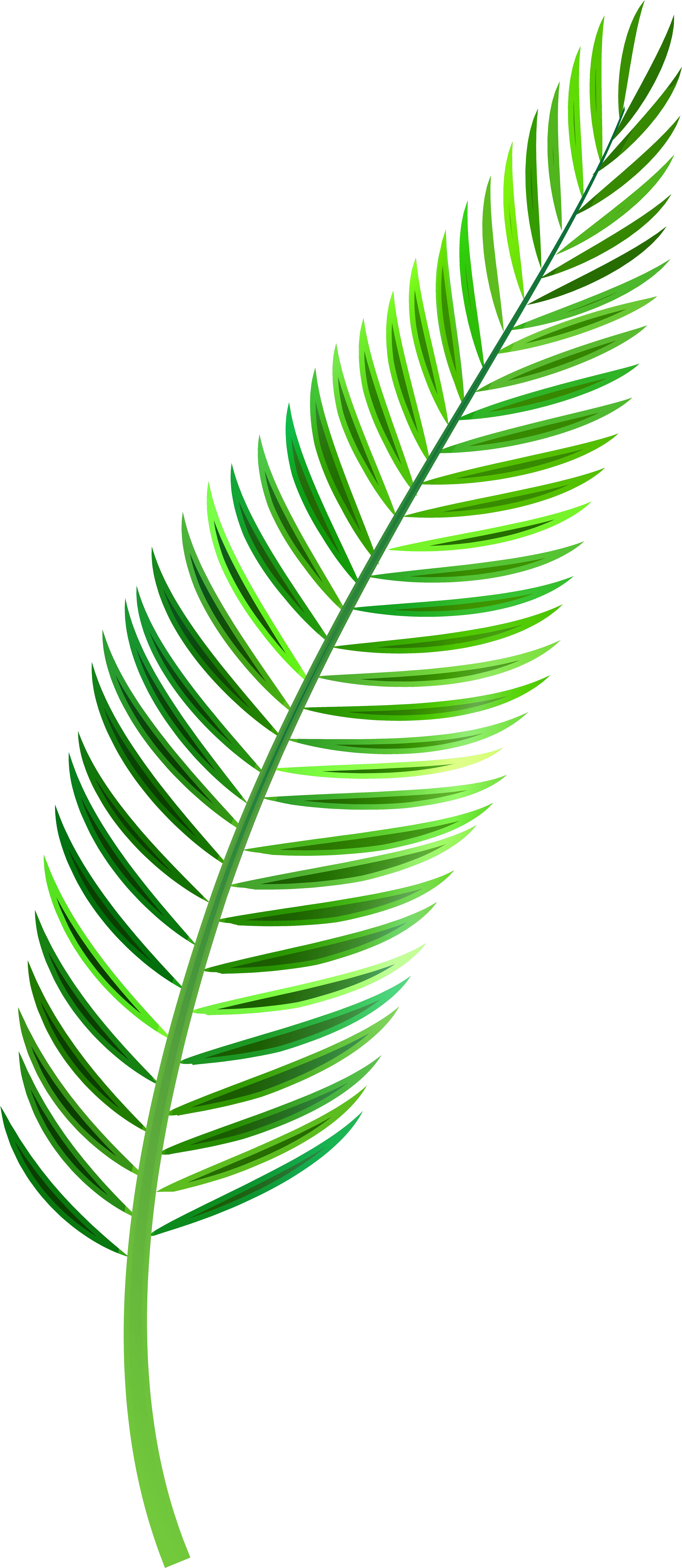 Palm Leaf Png Clip Art - Tropical Leaf Watercolor Png (3743x8000), Png Download