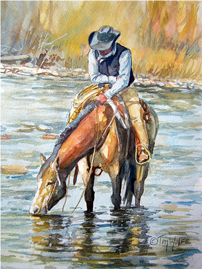 Tom Wolfe (740x550), Png Download