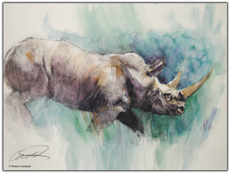 Watercolor White Rhino Print - Watercolor Painting (600x399), Png Download