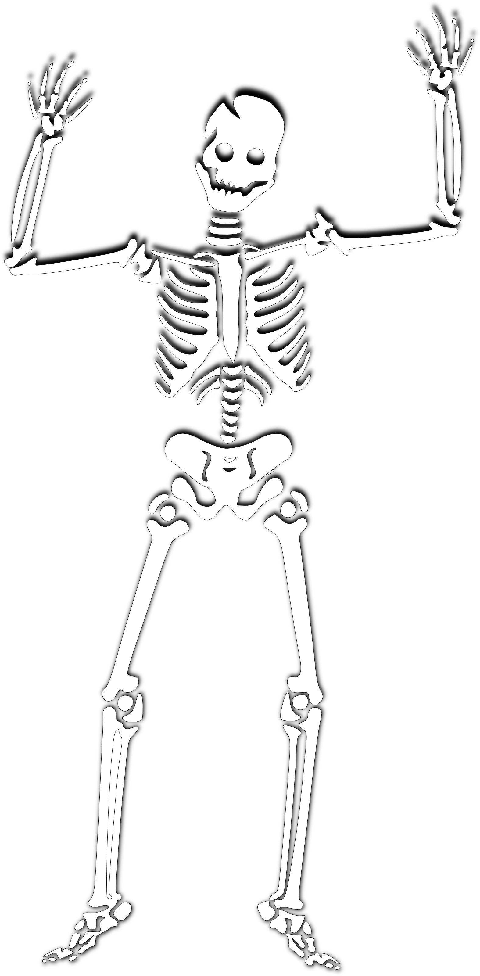 Halloween Skeleton Png Photos - White Skeleton Png (1574x3200), Png Download
