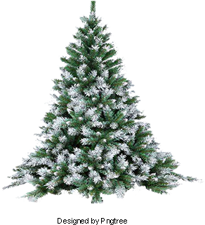 Pine Trees, Snowy Winter Tree, Snow Branches, Snow - Weihnachtsbaum Obi (360x360), Png Download
