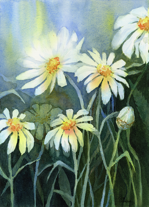 Click And Drag To Re-position The Image, If Desired - Watercolor Daisy Flower Painting (505x700), Png Download