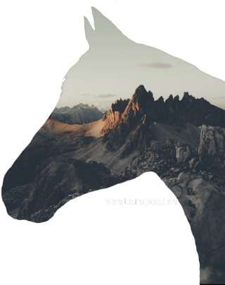 Equestrianism (500x470), Png Download