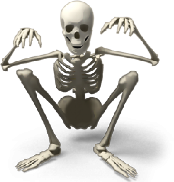 Skeleton Png Free Download - Esqueleto Anti Otacu (600x600), Png Download