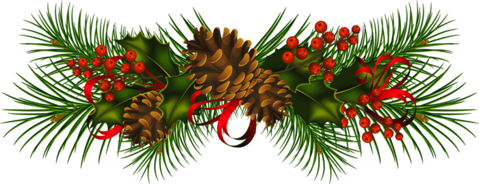 Christmas Pine Cone Mistletoe - Christmas With Transparent Background (700x269), Png Download