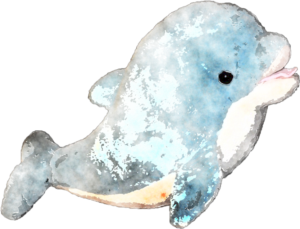Dolphin Watercolor Painting - Watercolor Painting (1007x794), Png Download