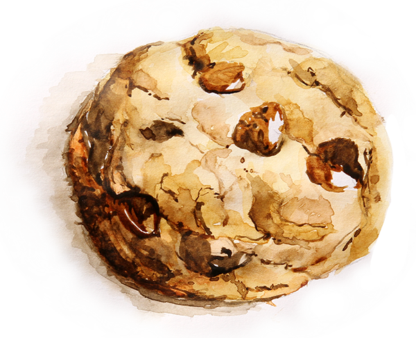 Watercolor Series On Behance Picture Free Download - Watercolor Chocolate Chip Cookie (600x487), Png Download
