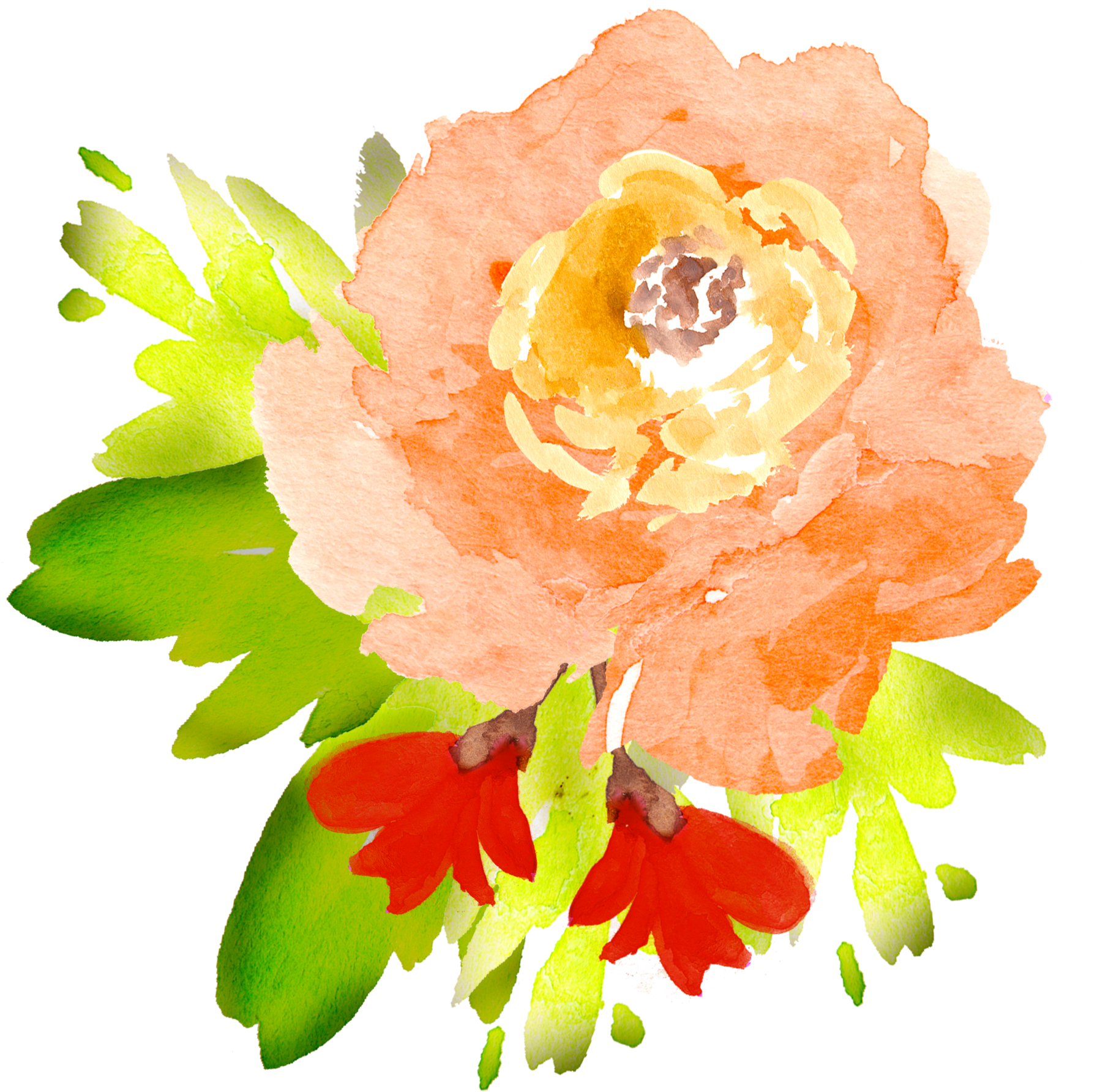Clip Art Royalty Free Library Free Floral Elements - Transparent Flowers Watercolor Orange (1879x1938), Png Download