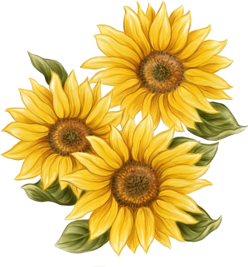 Watercolor Sunflower Png Svg Library Download - Watercolor Sunflower Png (912x1024), Png Download