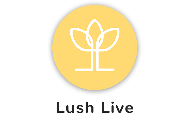 Offerings-live (660x500), Png Download