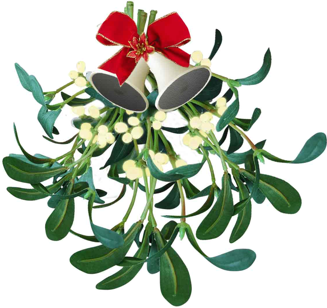 Christmas Mistletoe Tumblr Download - Kiss Me Under Mistletoe (1320x1245), Png Download