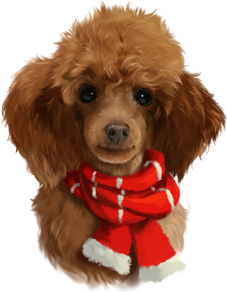 Shop Red Poodle Poster Created By Kajennaart - Poodle (800x992), Png Download