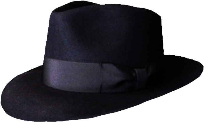 Mlg Fedora Png - Cowboy Hat (800x800), Png Download